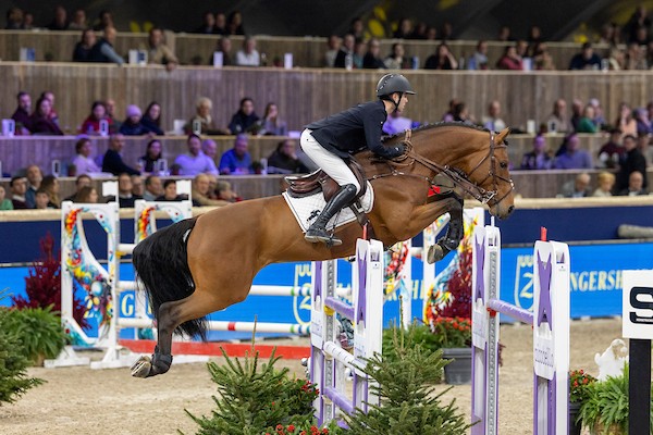 Saladin “S” wins stallion class at Jumping Mechelen
