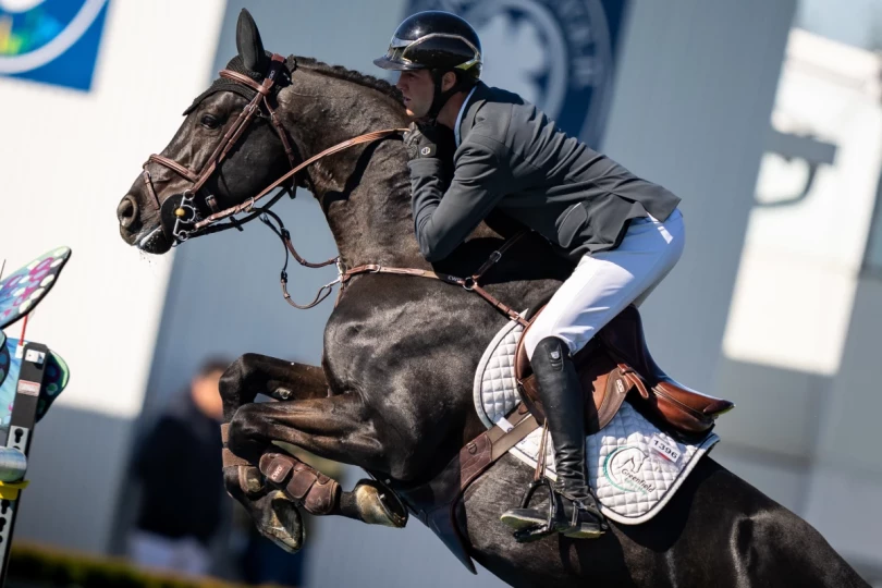 Clear rounds and strong results and under the Spanish sun for Gilles Thomas and his horses