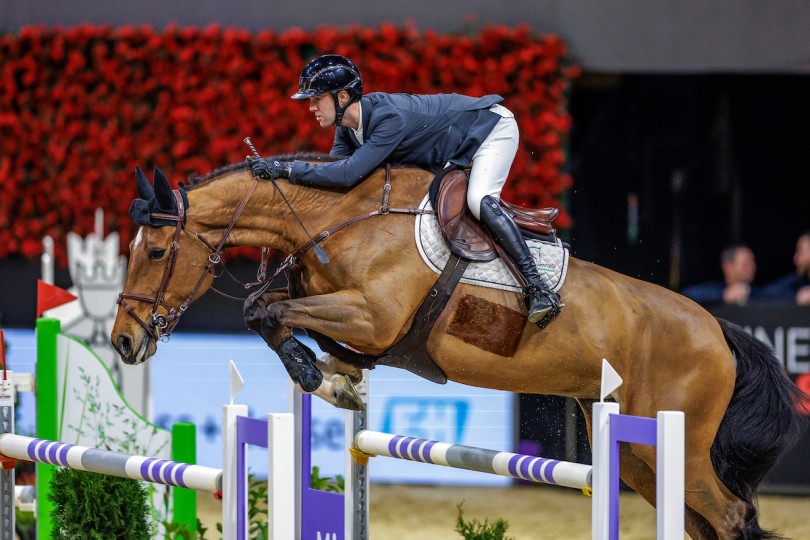 Gilles and Luna van het Dennehof jumped to fourth place in Basel while in Lier young stallions by Ermitage Kalone show great things at BWP Stallion Selection